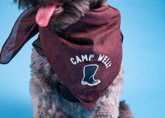 Camp Welly doggy Bandana