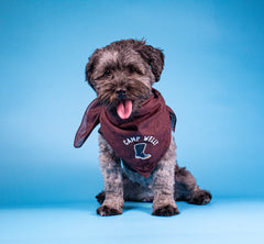 Camp Welly doggy Bandana