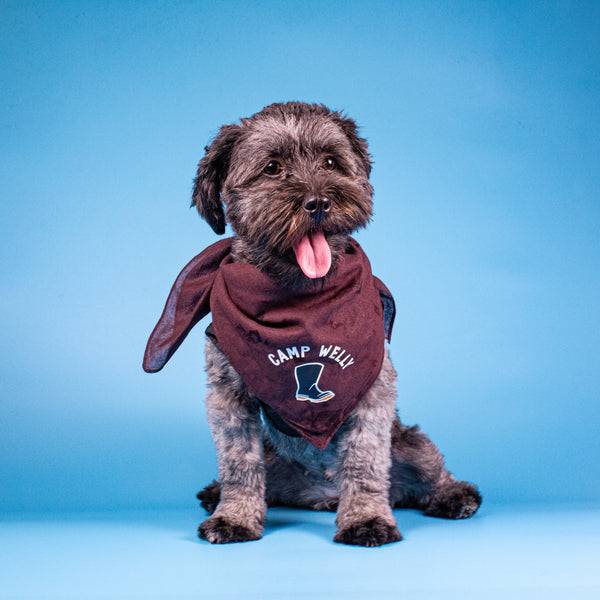 Camp Welly doggy Bandana