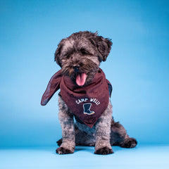 Camp Welly doggy Bandana